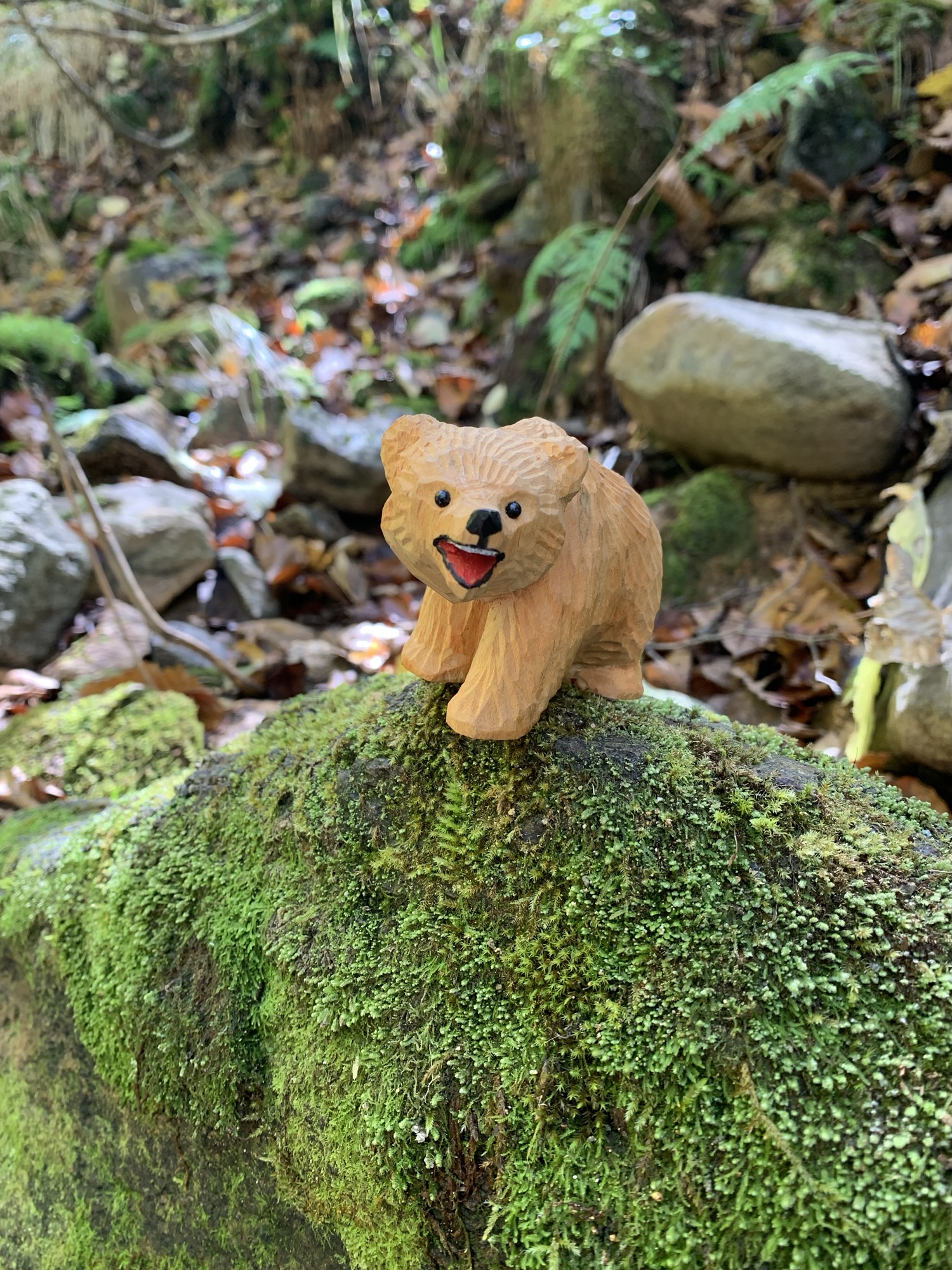 山美湖へ行った話。 - 木彫り熊と本の店 kodamado